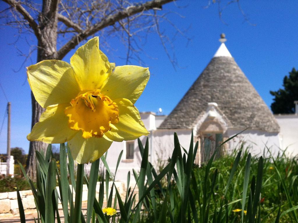 Апартаменты I Giardini Di Pomona Чистернино Экстерьер фото
